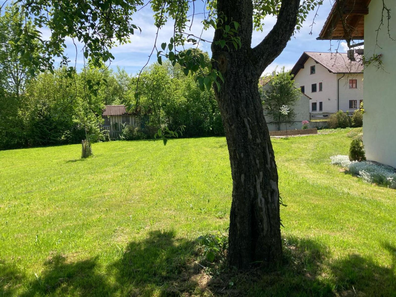 Ruhige Ferienwohnung Inklusive Garten Souterrain - Neu Renoviert Lachen Exterior foto